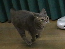 5DA_4448-19.jpg
