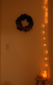 DSC04745.jpg