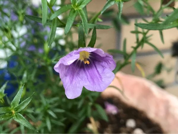 rblog-20180624174923-07.jpg