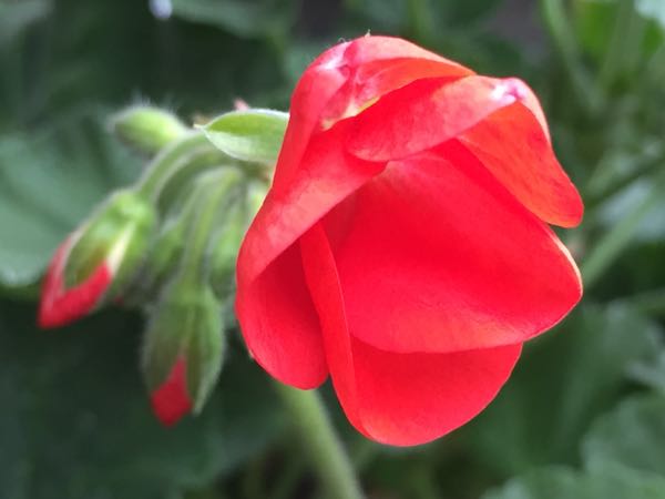 rblog-20181206125310-01.jpg