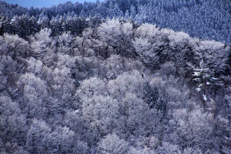 金剛山_3.jpg