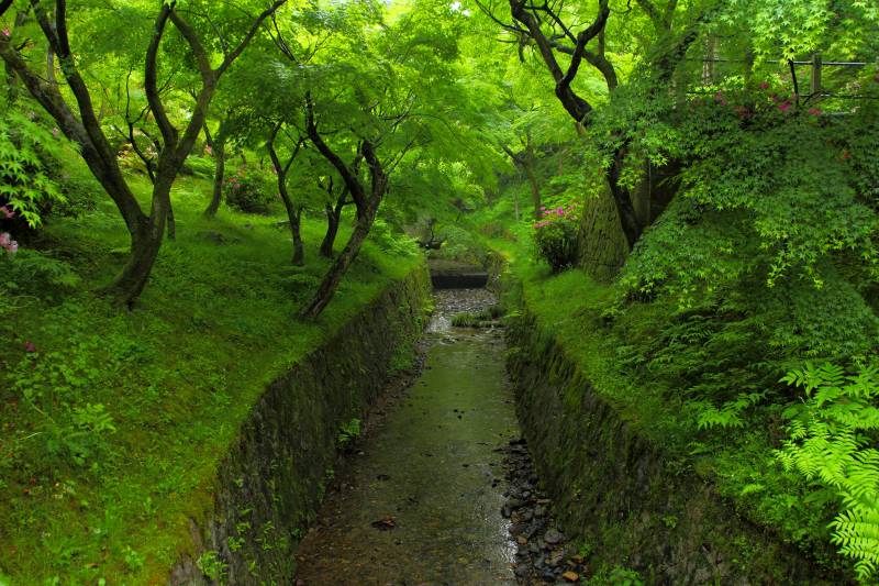 洗玉澗_006小川.jpg