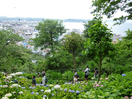 長谷寺　頂上から.jpg