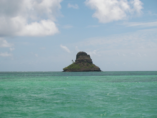 SANY0145_R.JPG