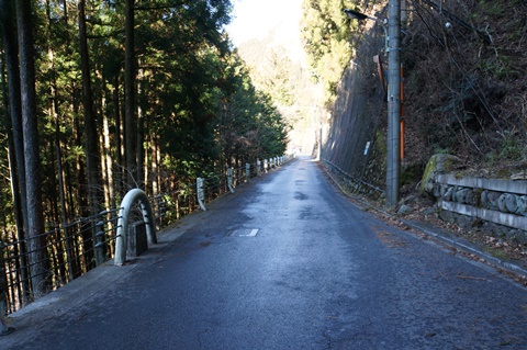 DSC08988.JPG
