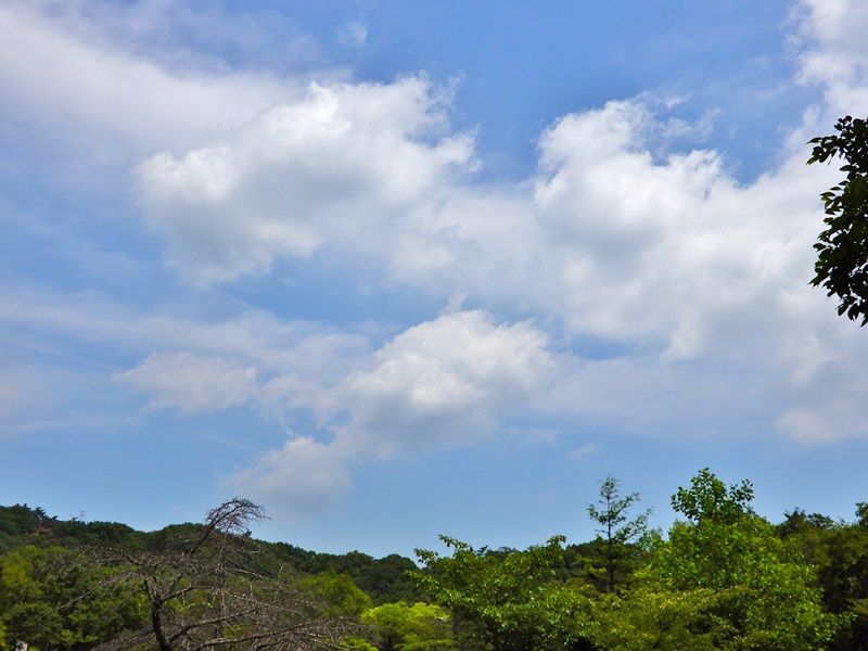 空3