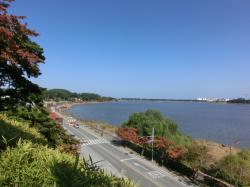 鏡浦湖の眺め