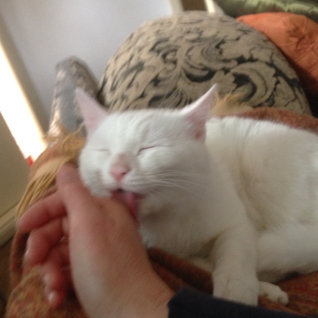 rblog-20130316214246-01.jpg