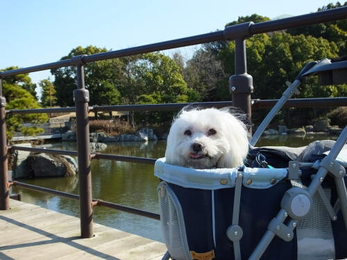 葛西臨海公園にて