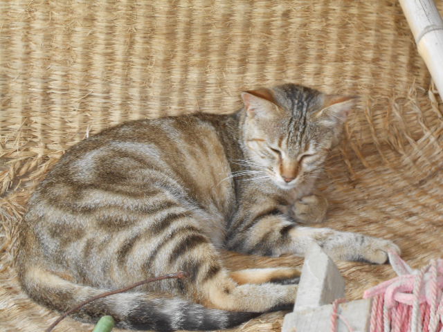 DSCN0331.JPG