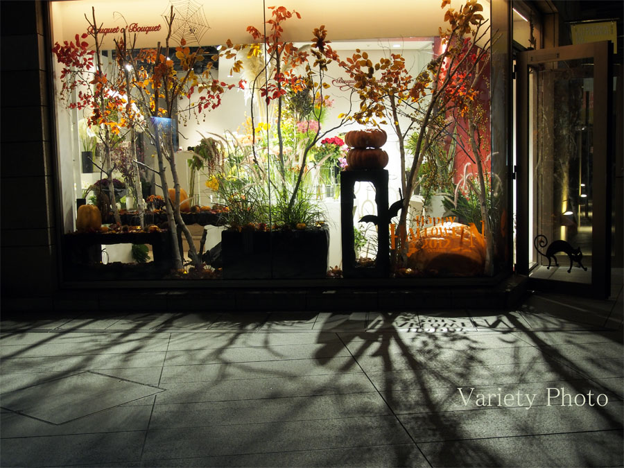 _A130406.jpg