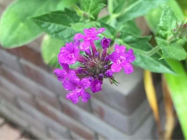 rblog-20160530191918-04.jpg