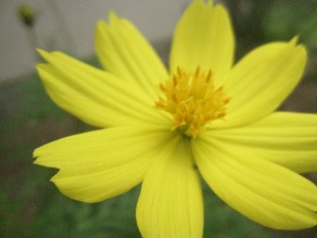 IMG_9714.JPG