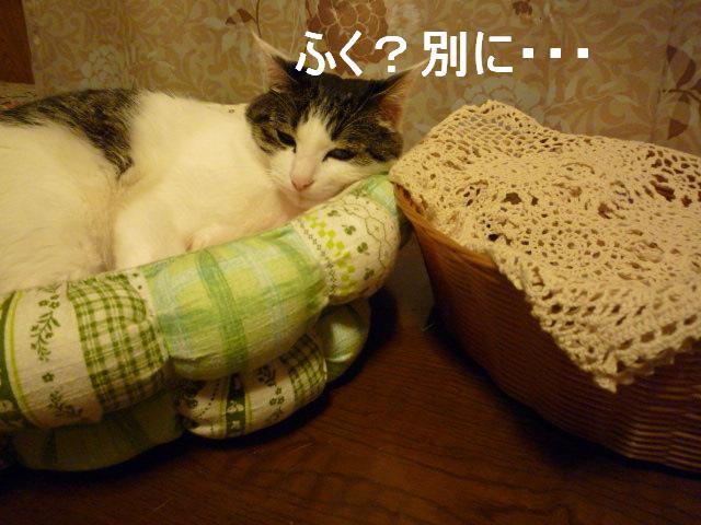 みいちゃんは？