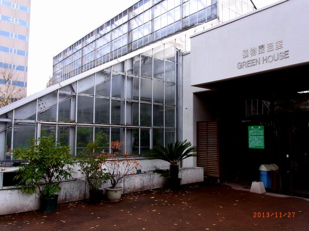 １１／２７北大植物園温室.jpg