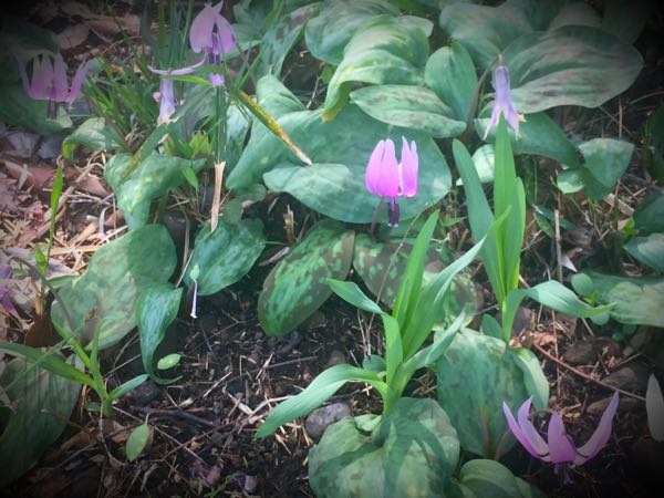 rblog-20160406132454-07.jpg