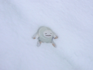 こさぶ雪