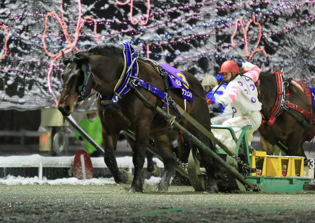 太田 裕士 の記事一覧 地方競馬の楽天競馬 日替わりライターブログ 楽天ブログ