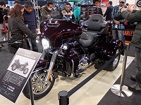 s-s-P2150275.jpg