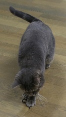 5DA_7151-26.jpg