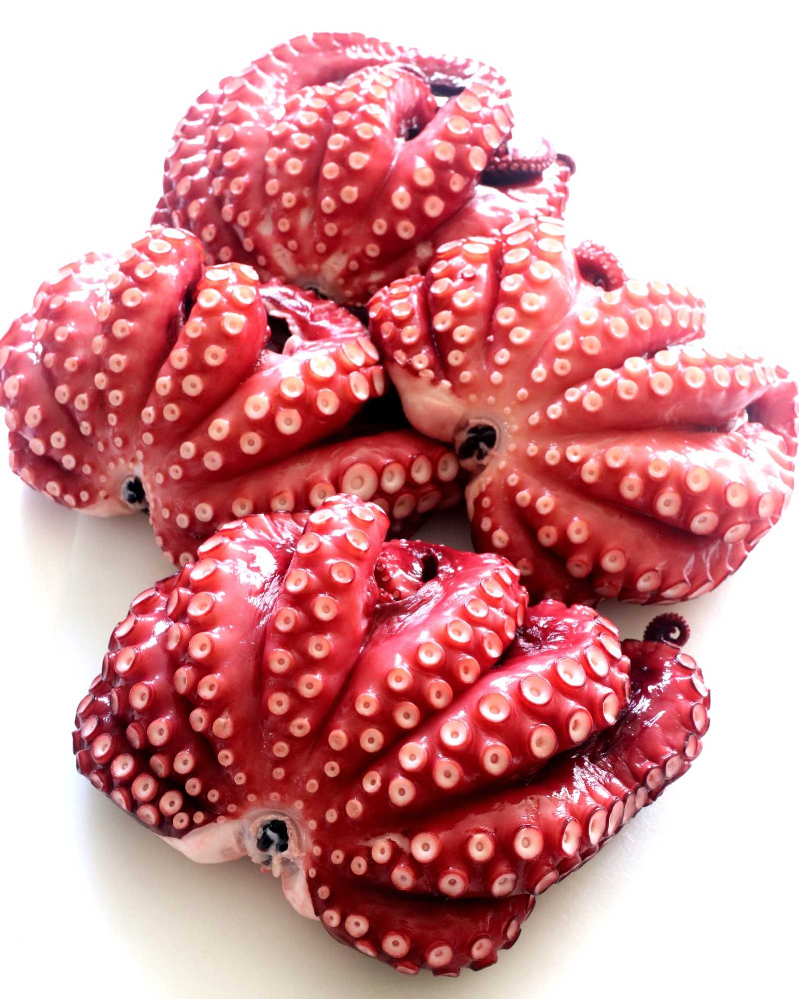 とらふぐ 明石のたこ など、本日の仕入れ物あれこれ・・・三重県いなべ市 阿下喜（あげき）の日本料理 昭栄館。 | 「料理長の日記」 三重県