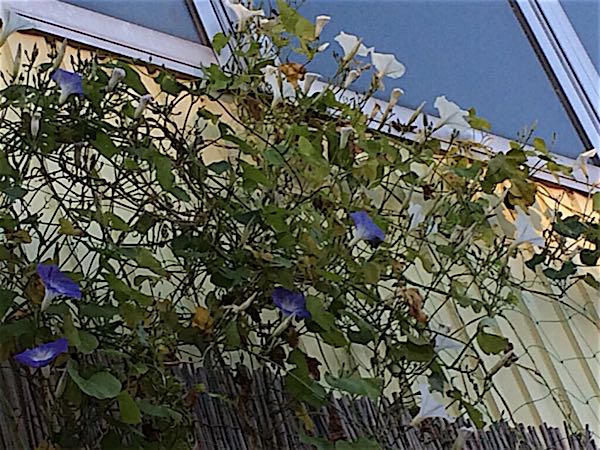 rblog-20141031104631-02.jpg