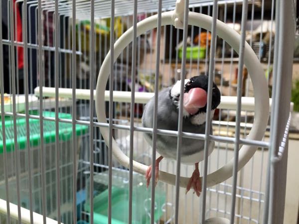 rblog-20150121203830-02.jpg