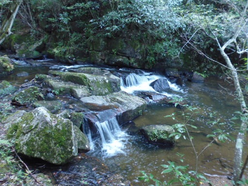 P10109451.jpg