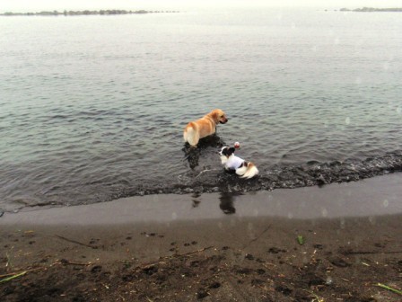 2013浜益9.jpg