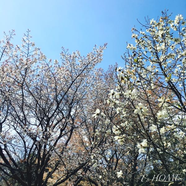 rblog-20160331142751-03.jpg