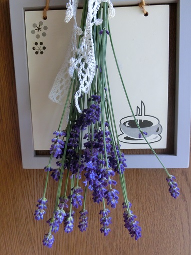 ラベンダードライ