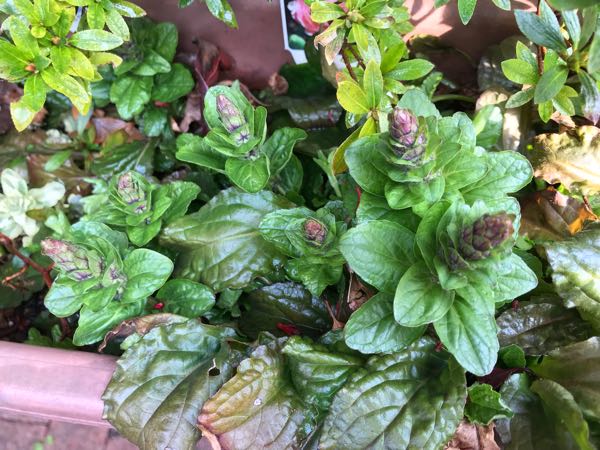 rblog-20190401164627-08.jpg