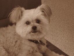 IMG_0137 縮小 - コピー.jpg