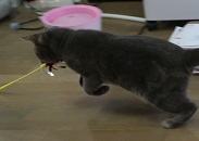 5DA_5992-7.jpg
