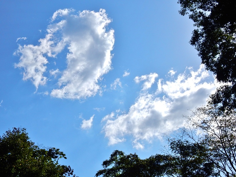 空2.JPG