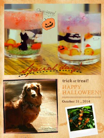 rblog-20141024012631-01.jpg