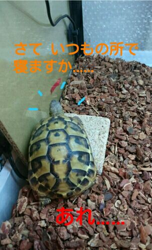 rblog-20151115133930-05.jpg