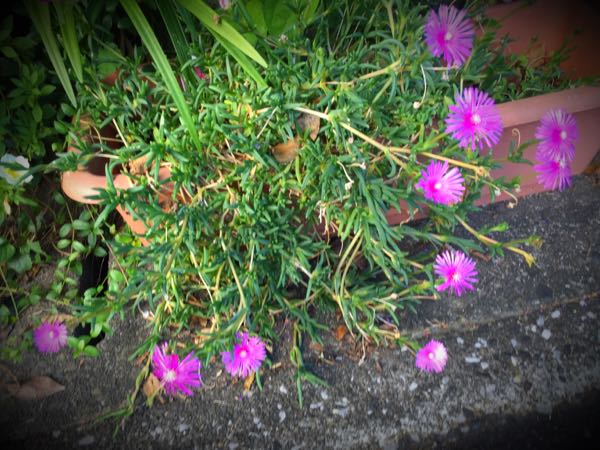 rblog-20160731172856-04.jpg