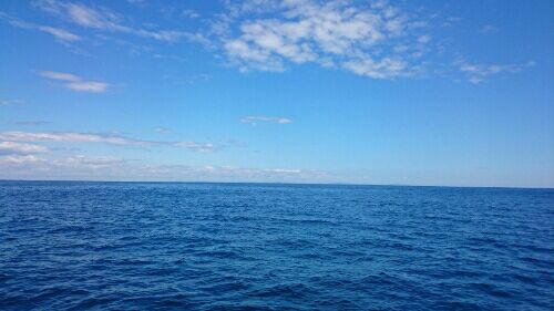 rblog-20160720062759-02.jpg
