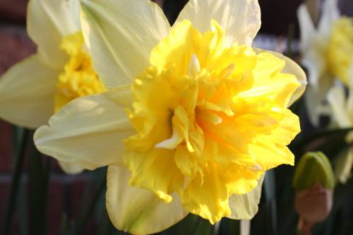 2015033104.JPG