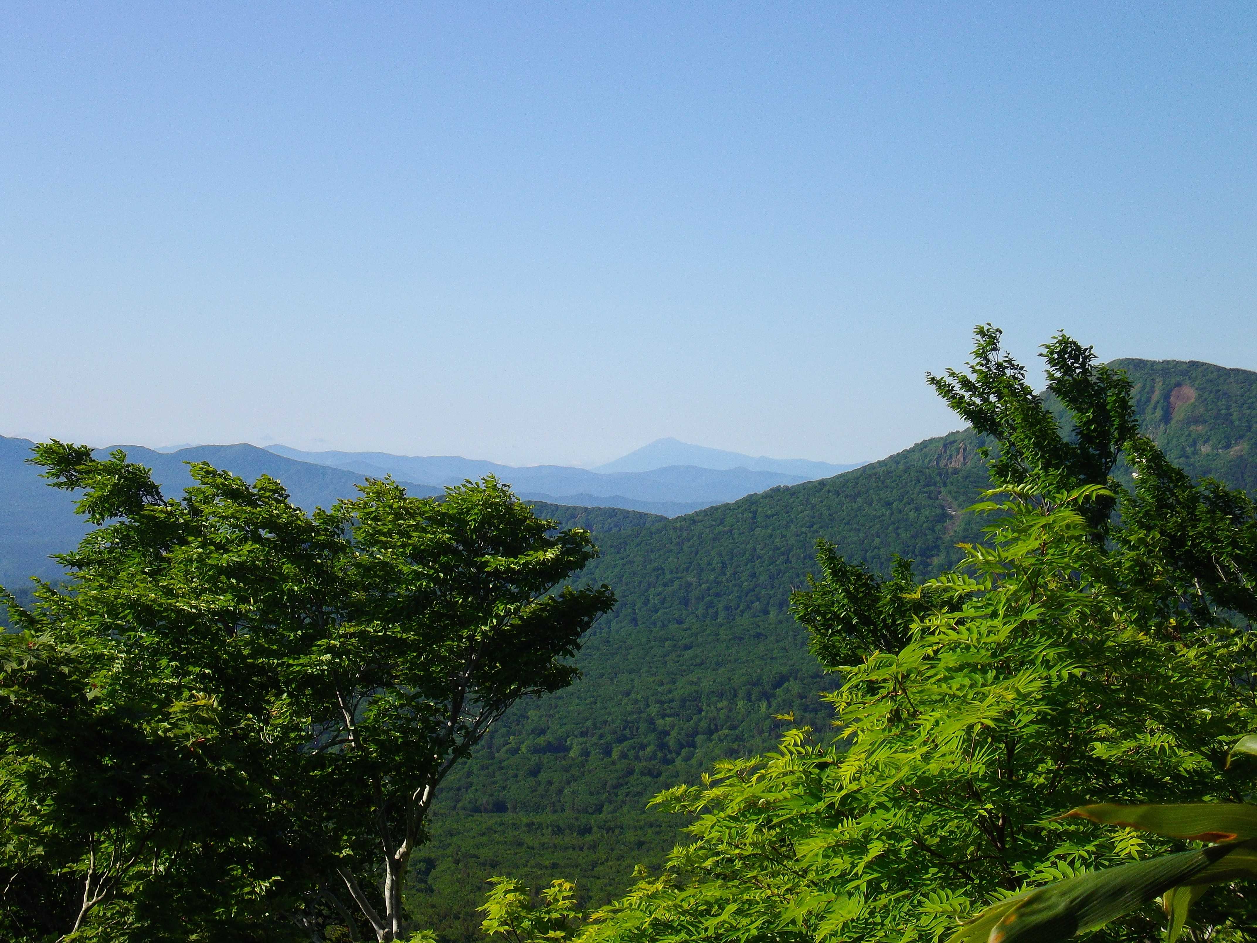 初夏の八甲田山高田大岳登山はNWで。 | ANWC 青い森ノルディックウォーキングクラブ - 楽天ブログ