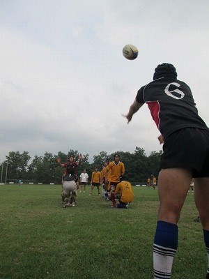 IMG_1427.jpg