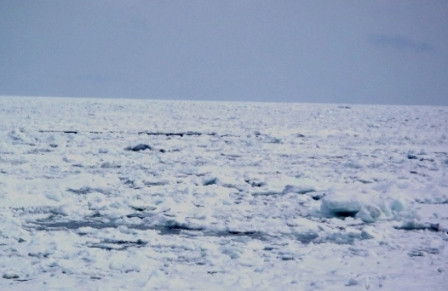 流氷２