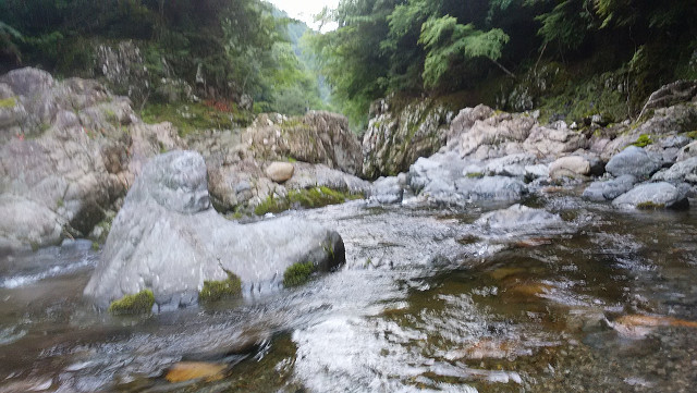 resize0036.jpg