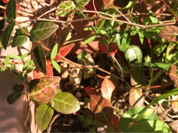 rblog-20181029111210-08.jpg