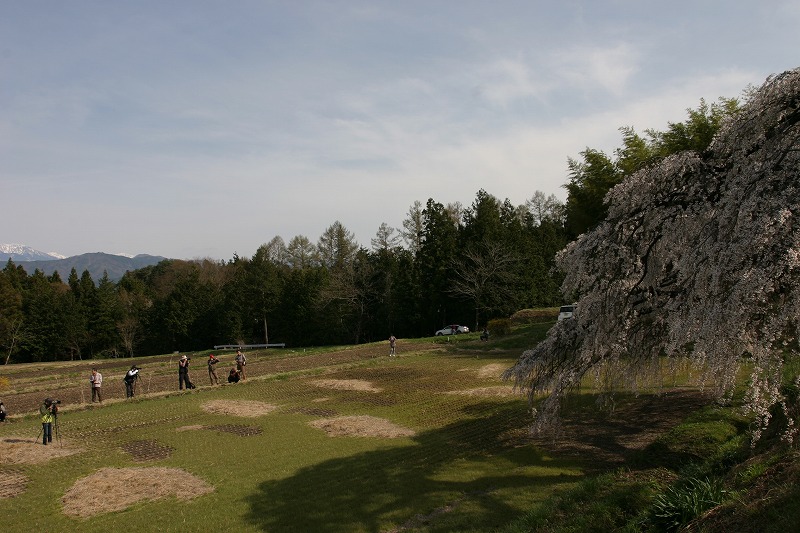 カメラマンたち