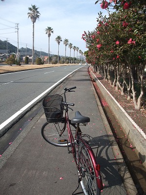 20130202御前崎道路