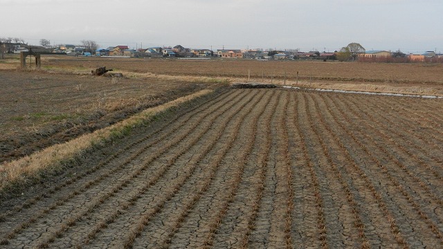 DSCN3038.jpg