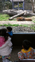 rblog-20130413132101-03.png