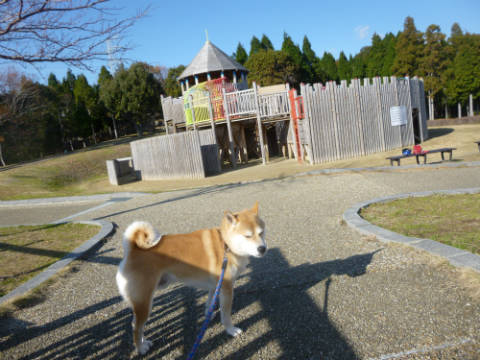 P1080601.JPG